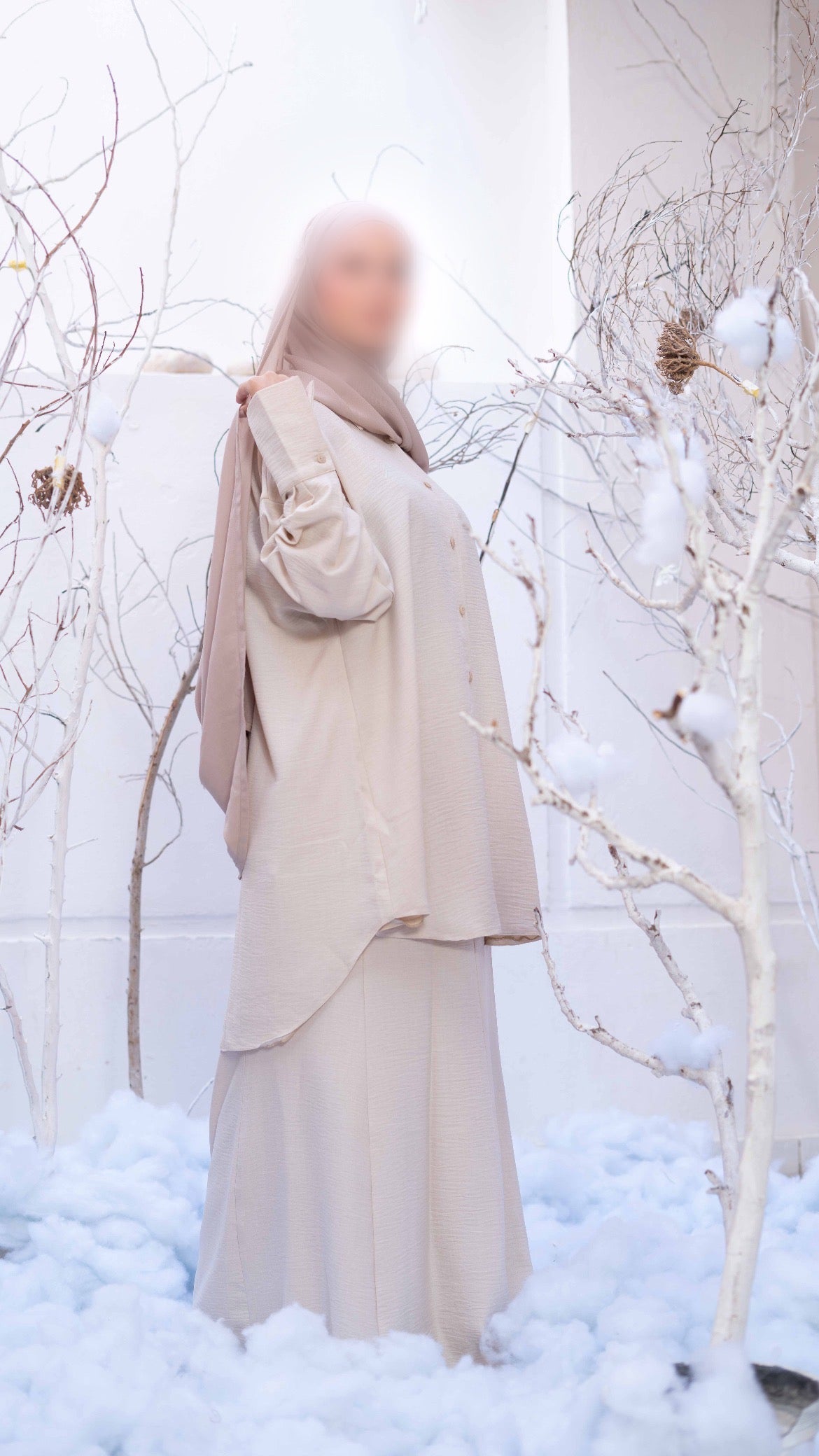 ENSEMBLE VENISE